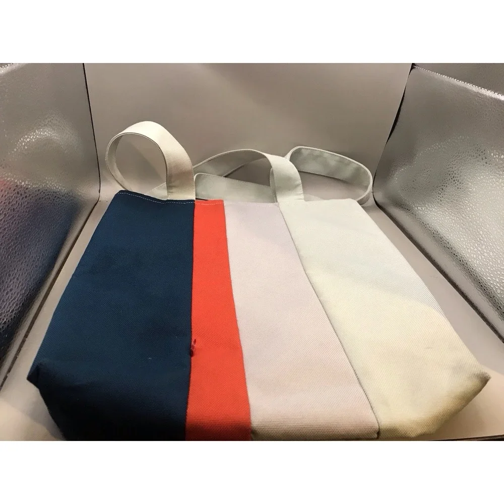 Levis levi canvas